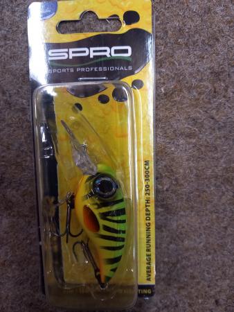 Fat Iris 40 DR Hardlure